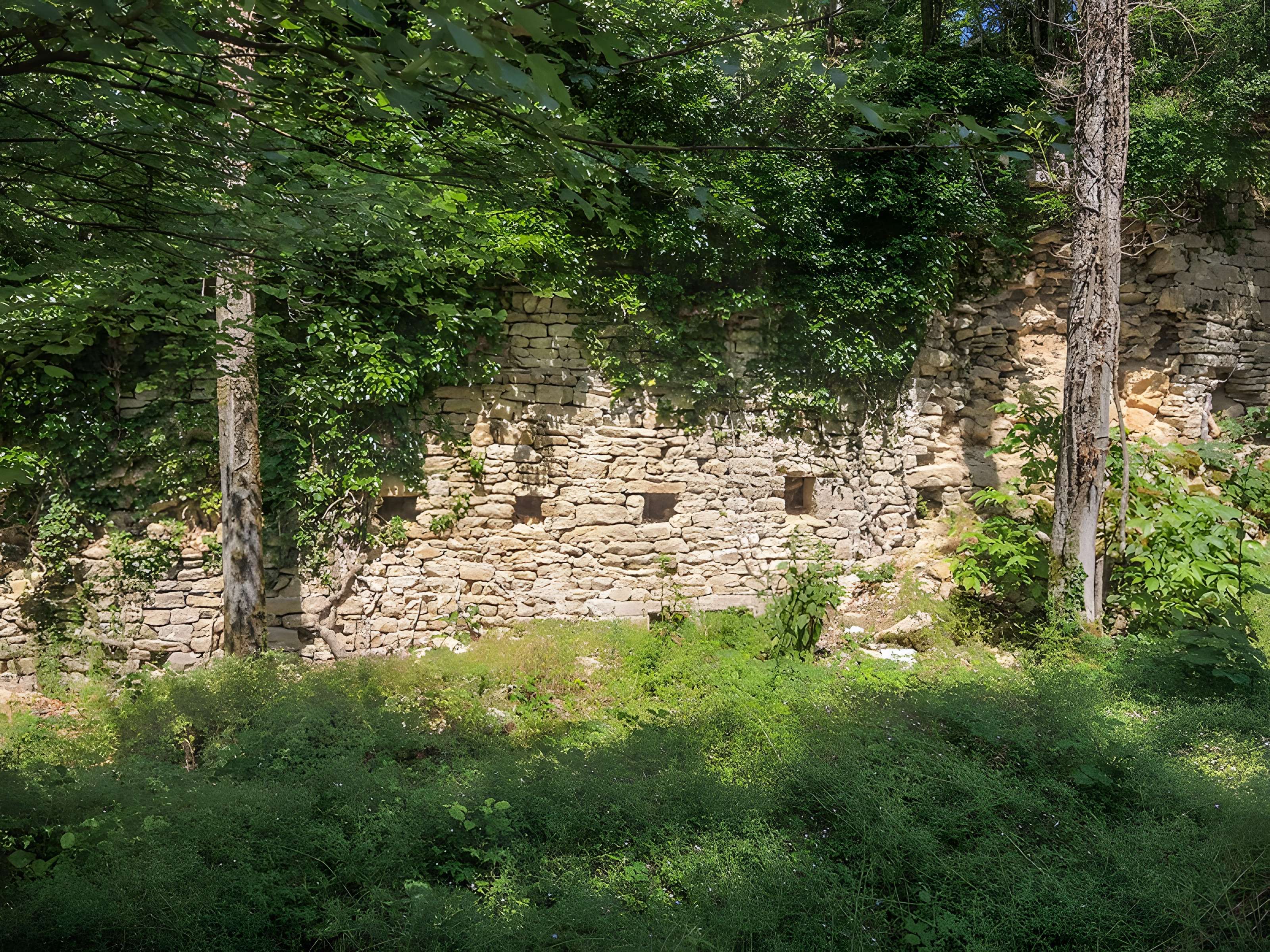 Château de Montfaucon
