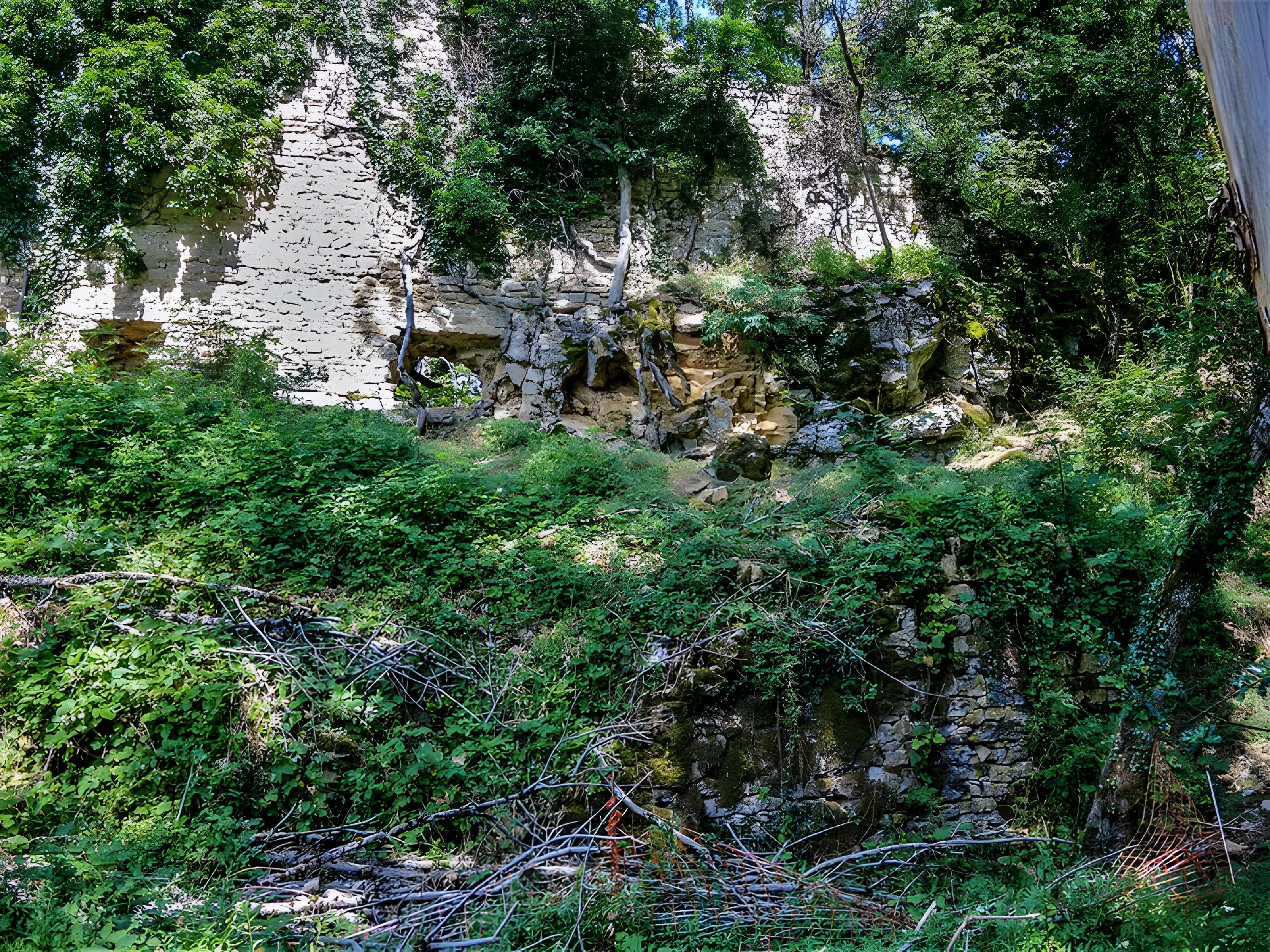 Château de Montfaucon