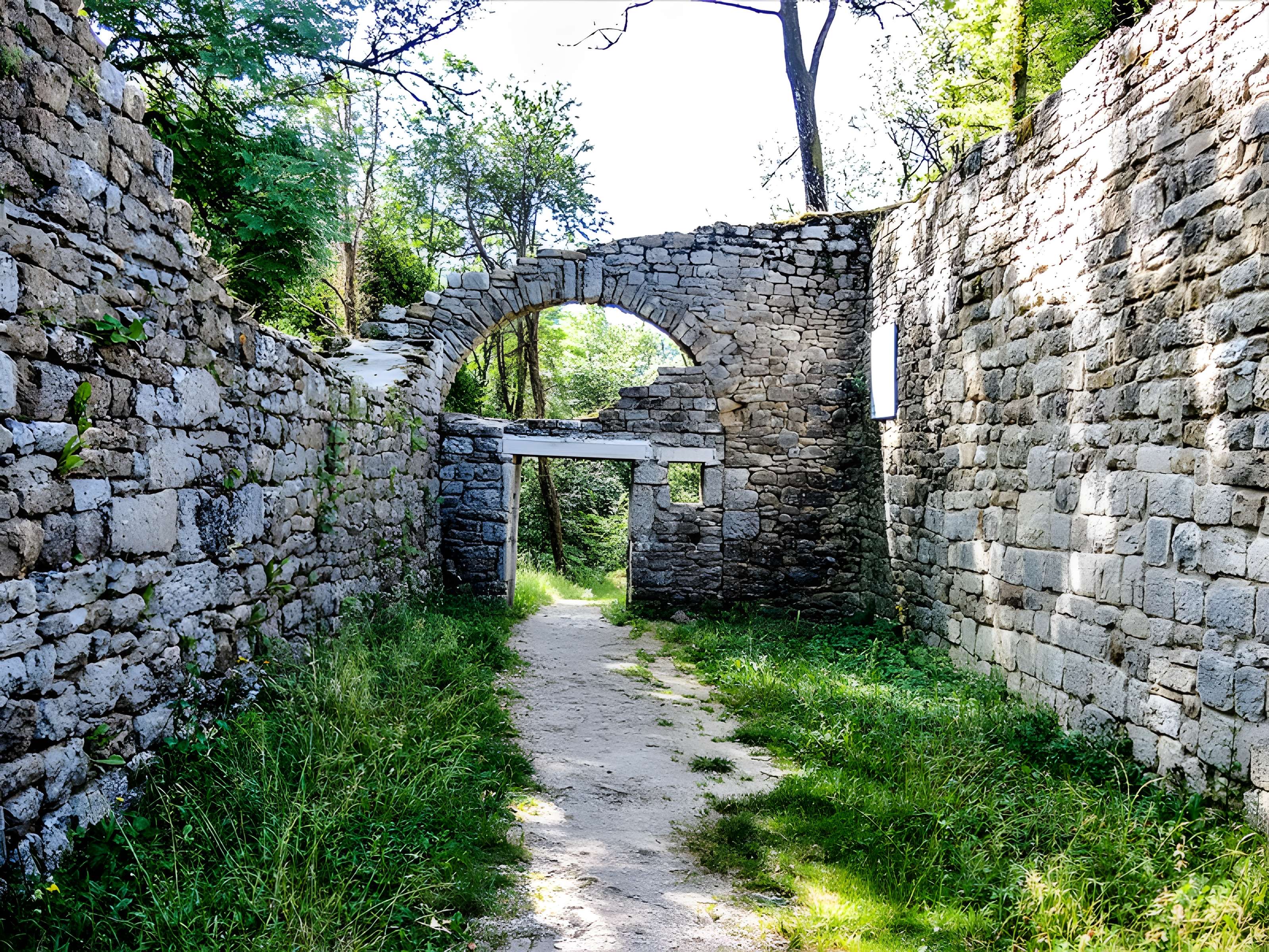 Château de Montfaucon