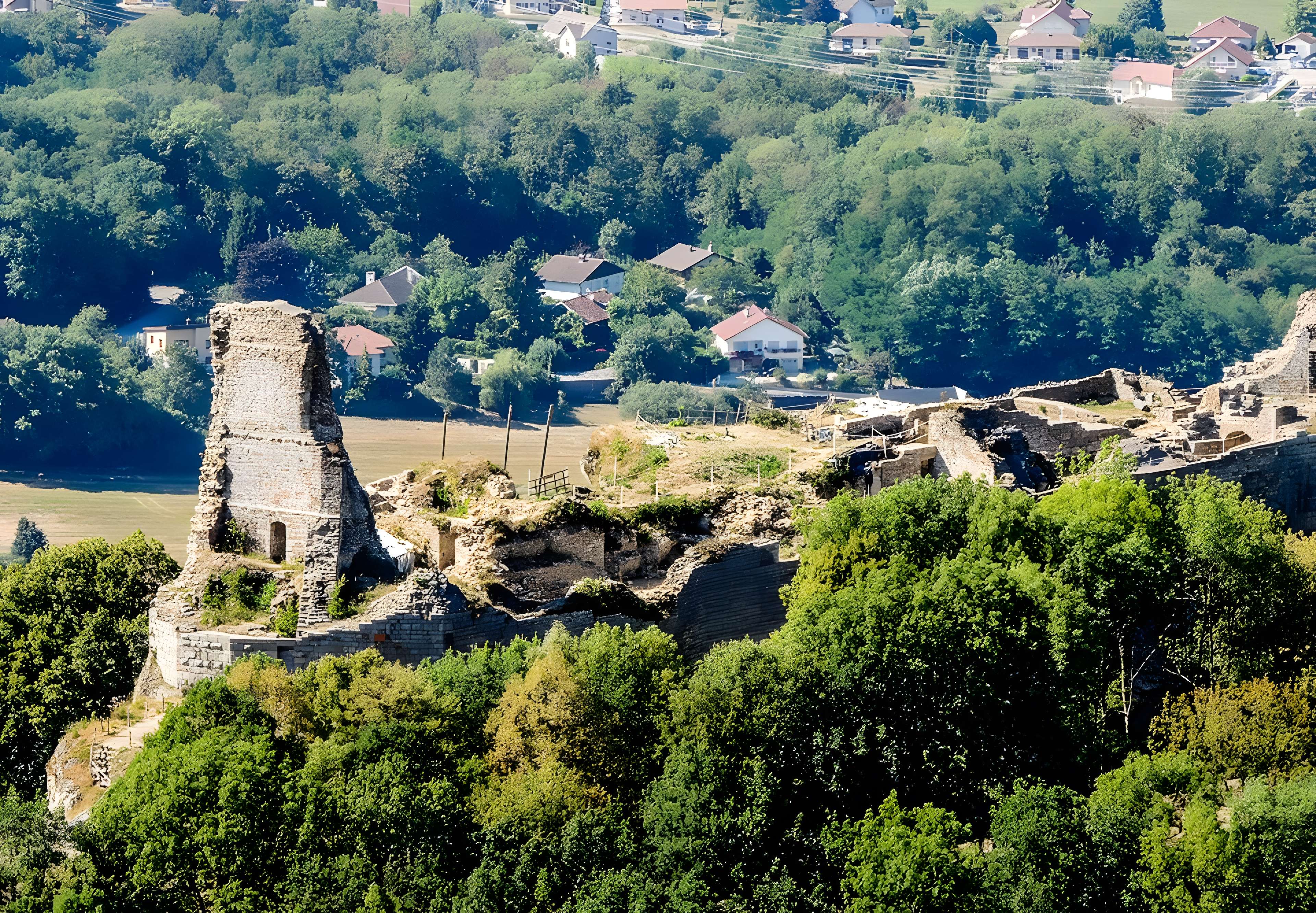 Château de Montfaucon