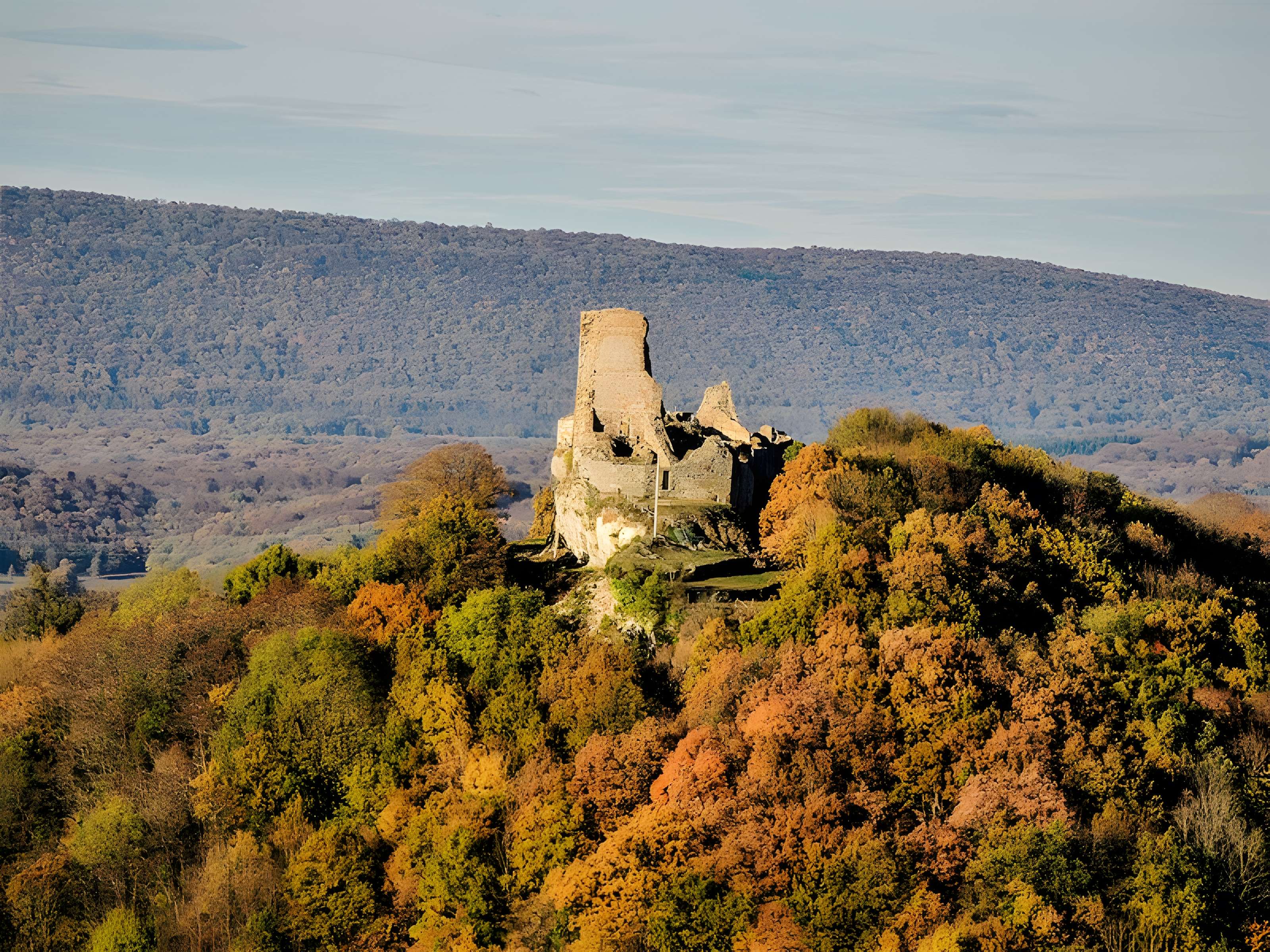 Château de Montfaucon