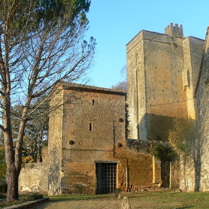 Photo de Château de Montferrand en Dordogne
