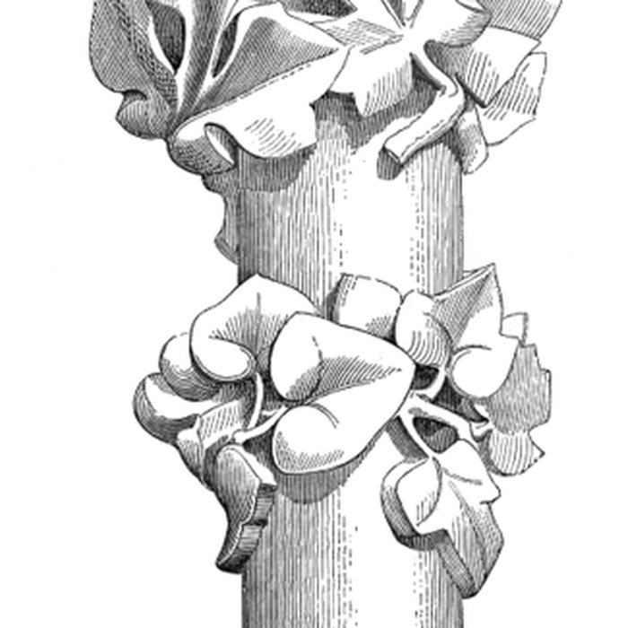 Photo de Cathédrale Notre-Dame dÉvreux