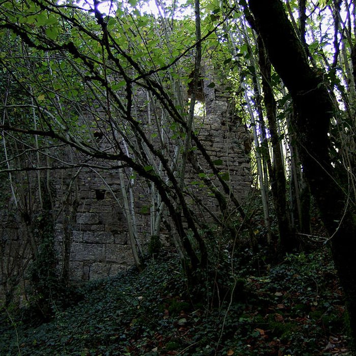 Photo de Château de Montferrand-le-Château