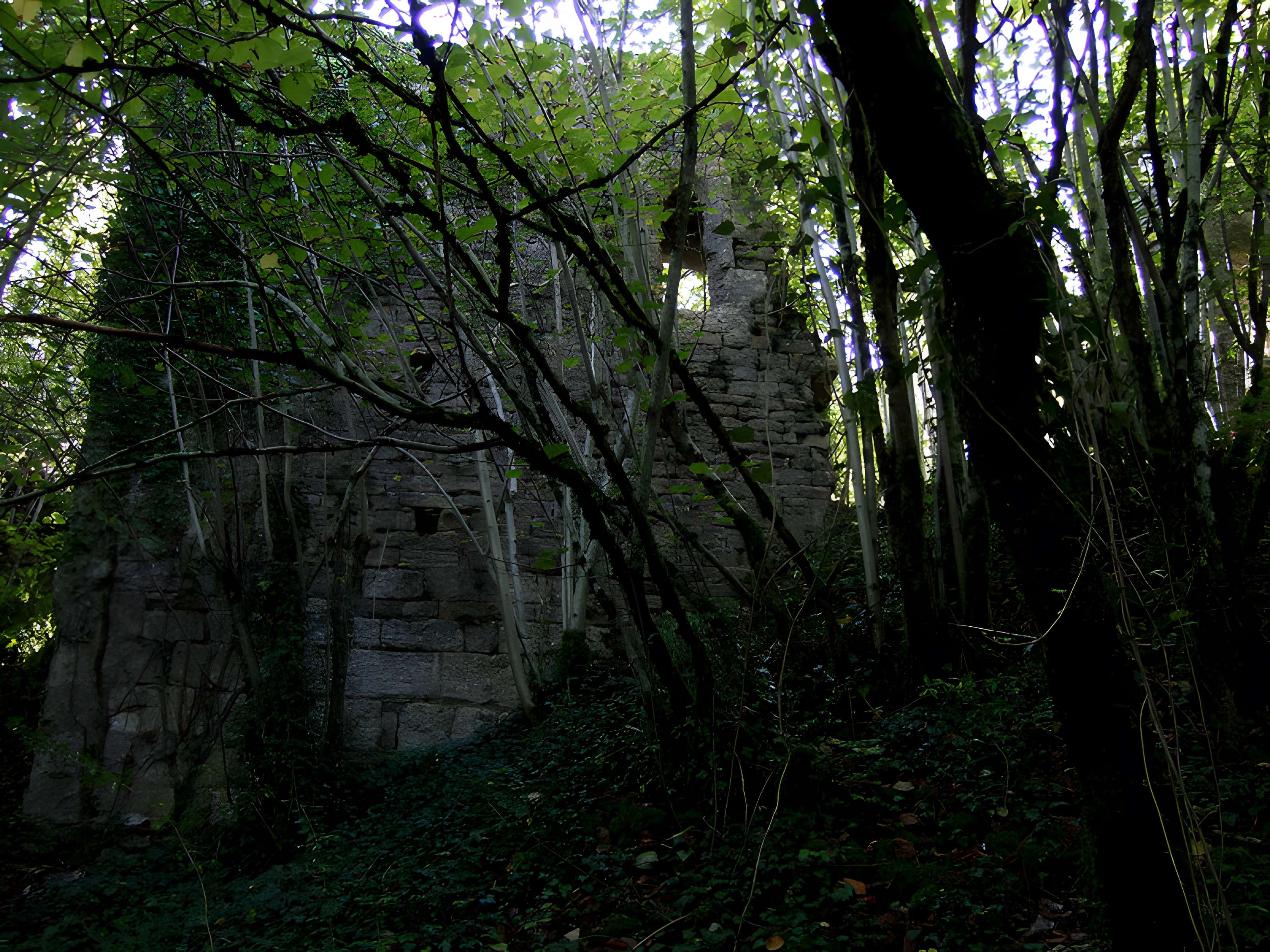 Château de Montferrand-le-Château