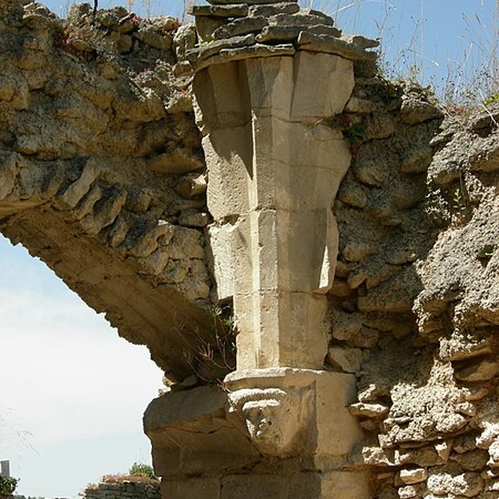 Photo de Château de Montfort à Montigny-Montfort
