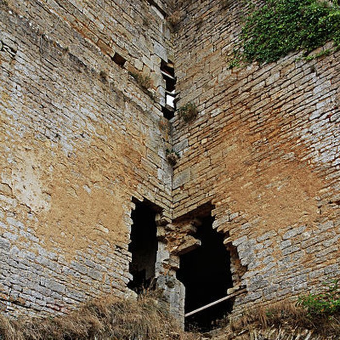 Photo de Château de Montfort à Montigny-Montfort