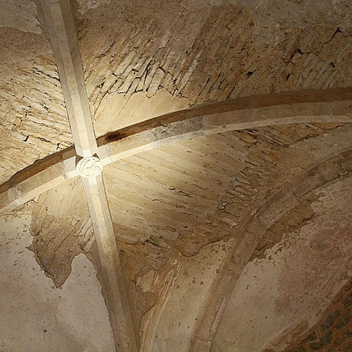 Photo de Château de Montfort à Montigny-Montfort