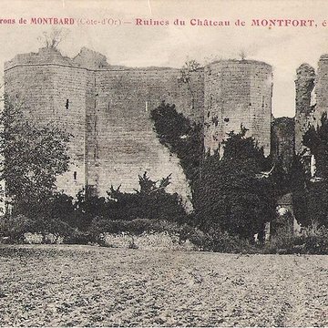 Château de Montfort à Montigny-Montfort