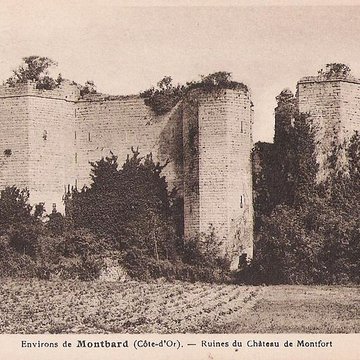 Château de Montfort à Montigny-Montfort