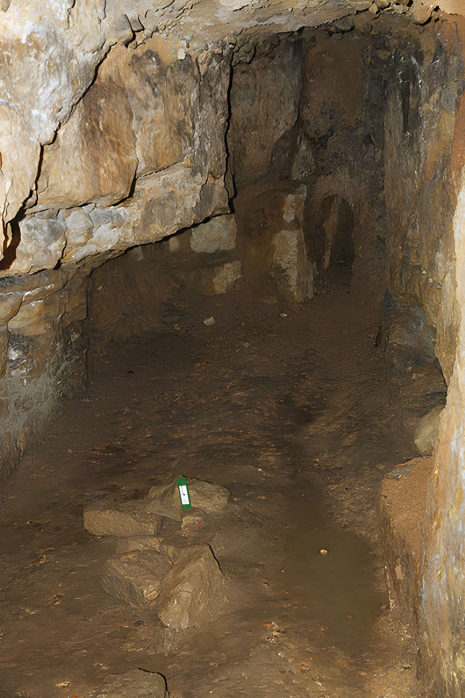 Château de Montfort à Montigny-Montfort