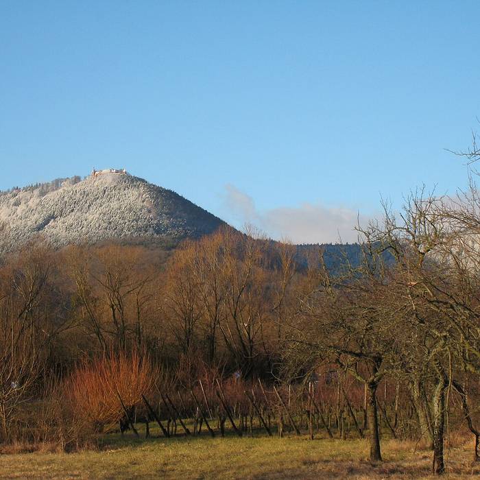 Photo de Mont Sainte-Odile à Ottrott