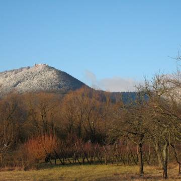 Mont Sainte-Odile à Ottrott