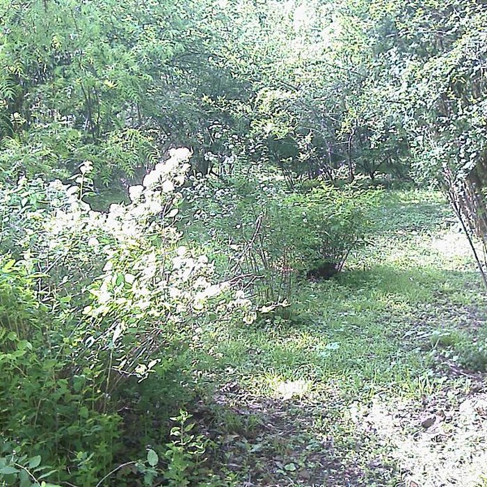 Photo de Jardin botanique de luniversité de Strasbourg