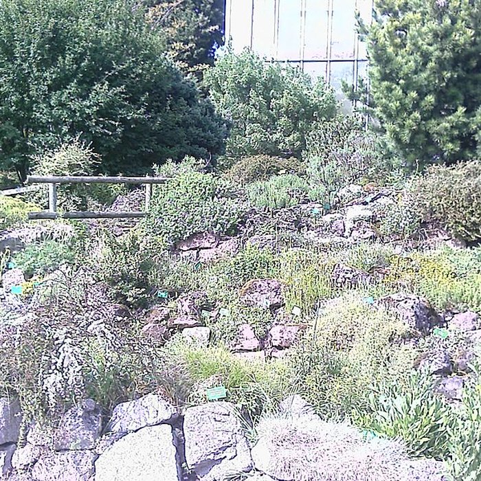 Photo de Jardin botanique de luniversité de Strasbourg