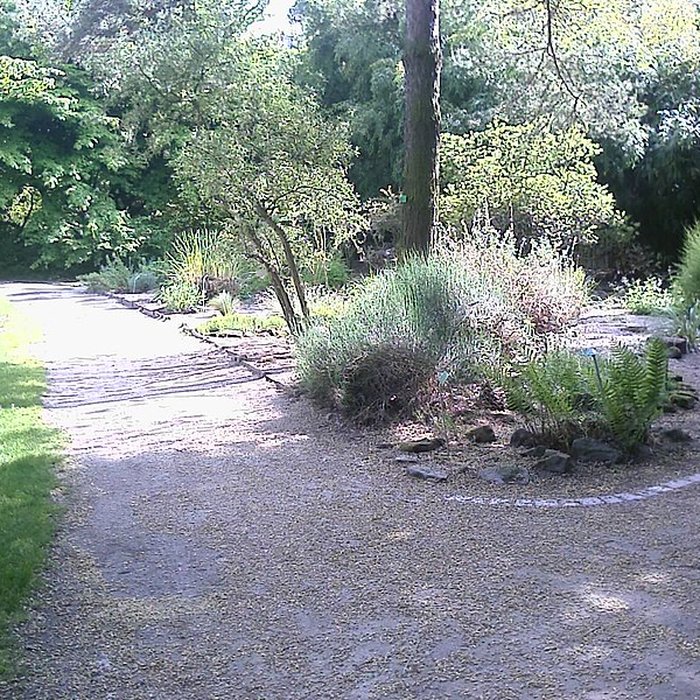 Photo de Jardin botanique de luniversité de Strasbourg