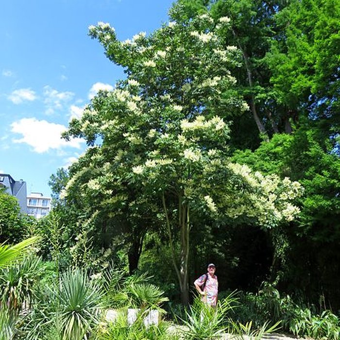 Photo de Jardin botanique de luniversité de Strasbourg