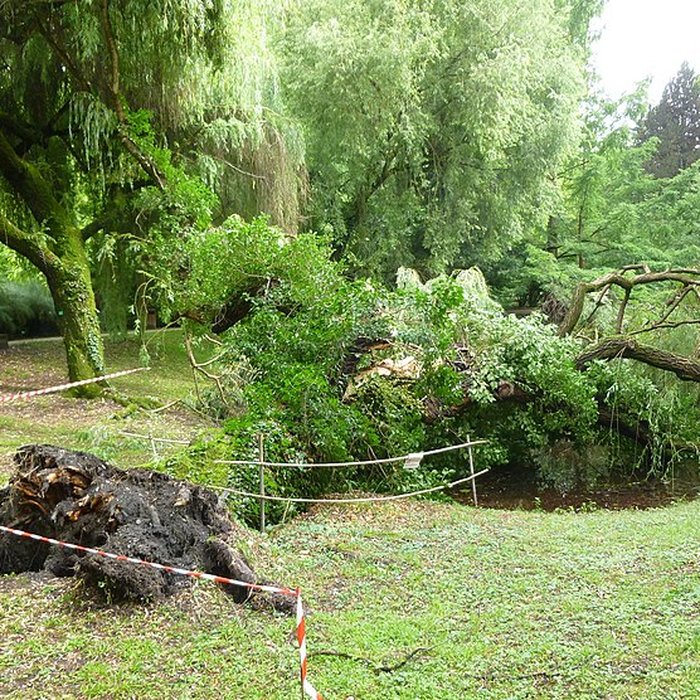 Photo de Jardin botanique de luniversité de Strasbourg