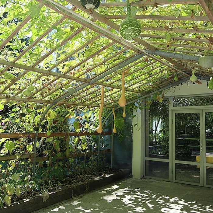 Photo de Jardin botanique de luniversité de Strasbourg