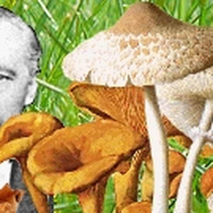 Photo de Jardin botanique de luniversité de Strasbourg