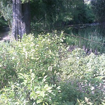 Jardin botanique de luniversité de Strasbourg