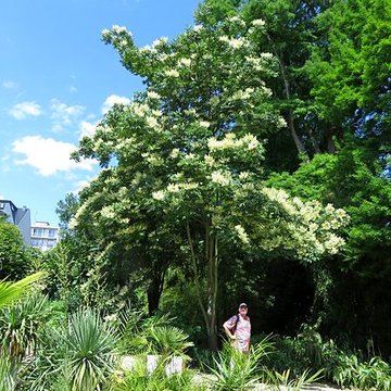 Jardin botanique de luniversité de Strasbourg