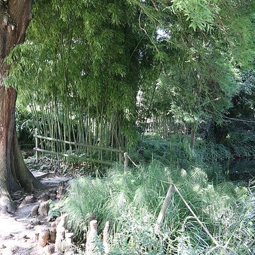 Jardin botanique de luniversité de Strasbourg