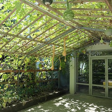 Jardin botanique de luniversité de Strasbourg