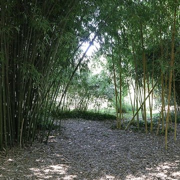 Jardin botanique de luniversité de Strasbourg