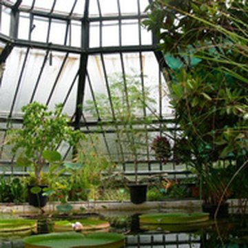 Jardin botanique de luniversité de Strasbourg