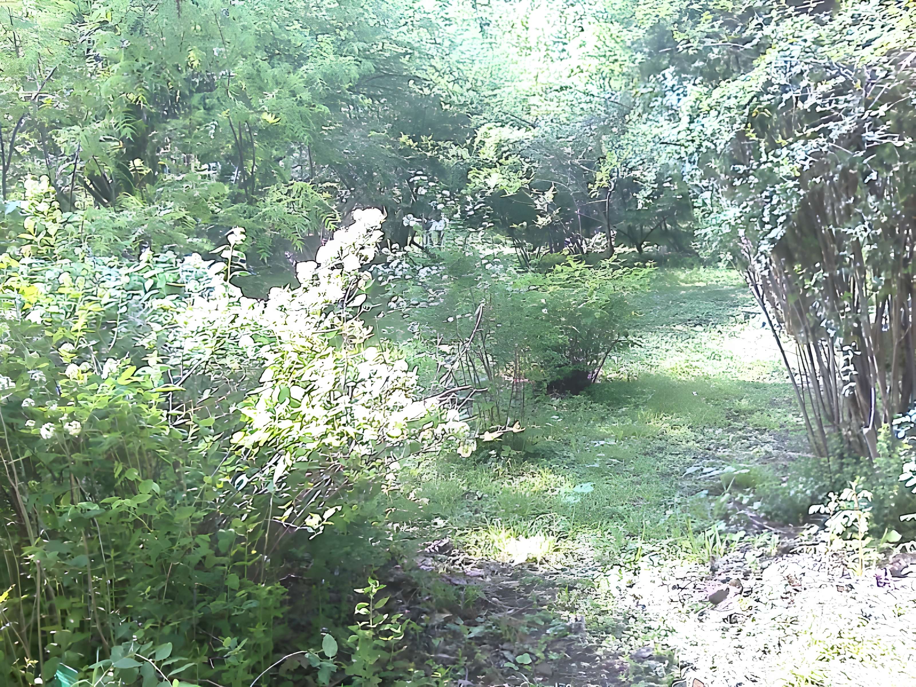 Jardin botanique de l'université de Strasbourg