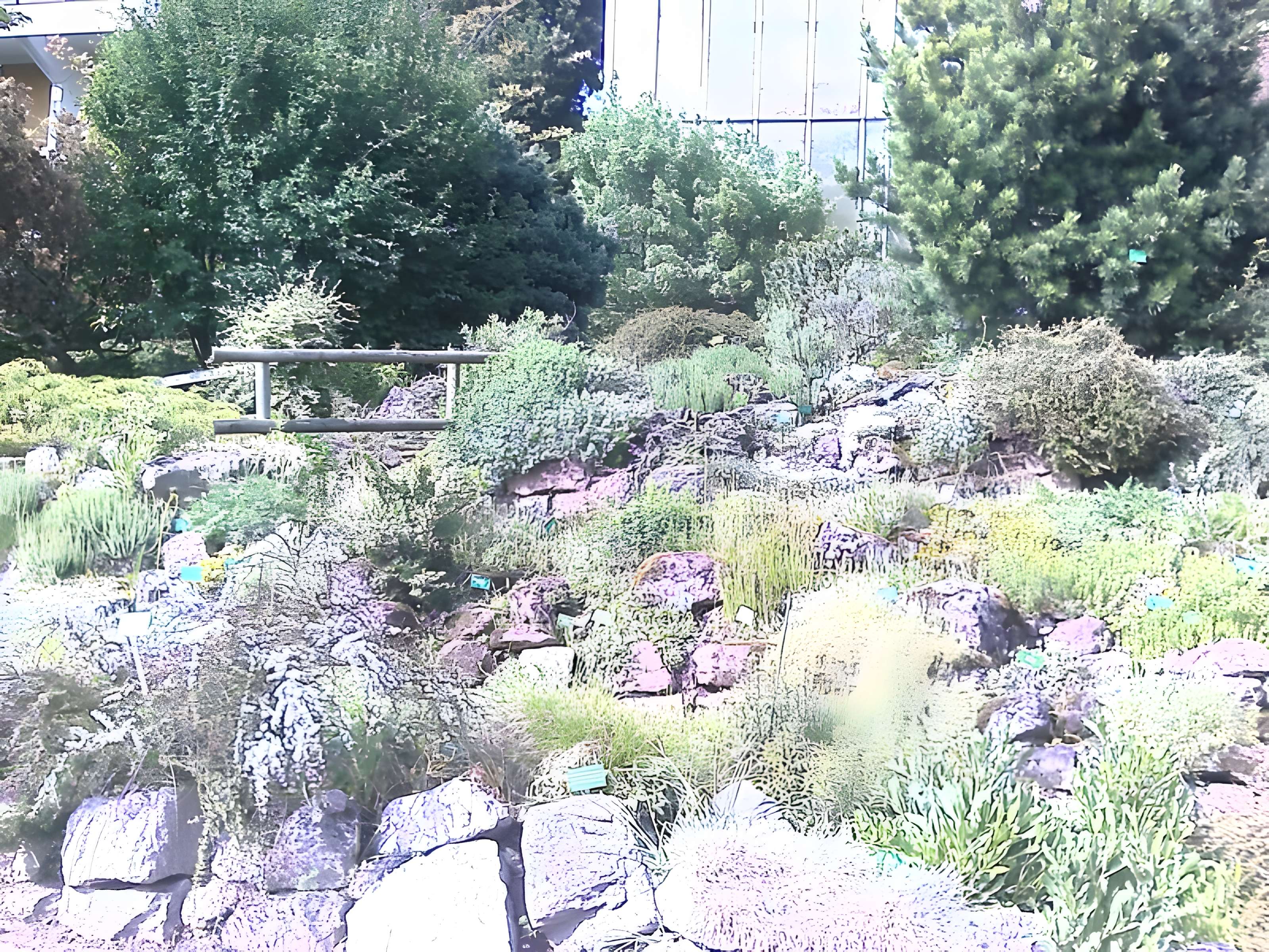 Jardin botanique de l'université de Strasbourg