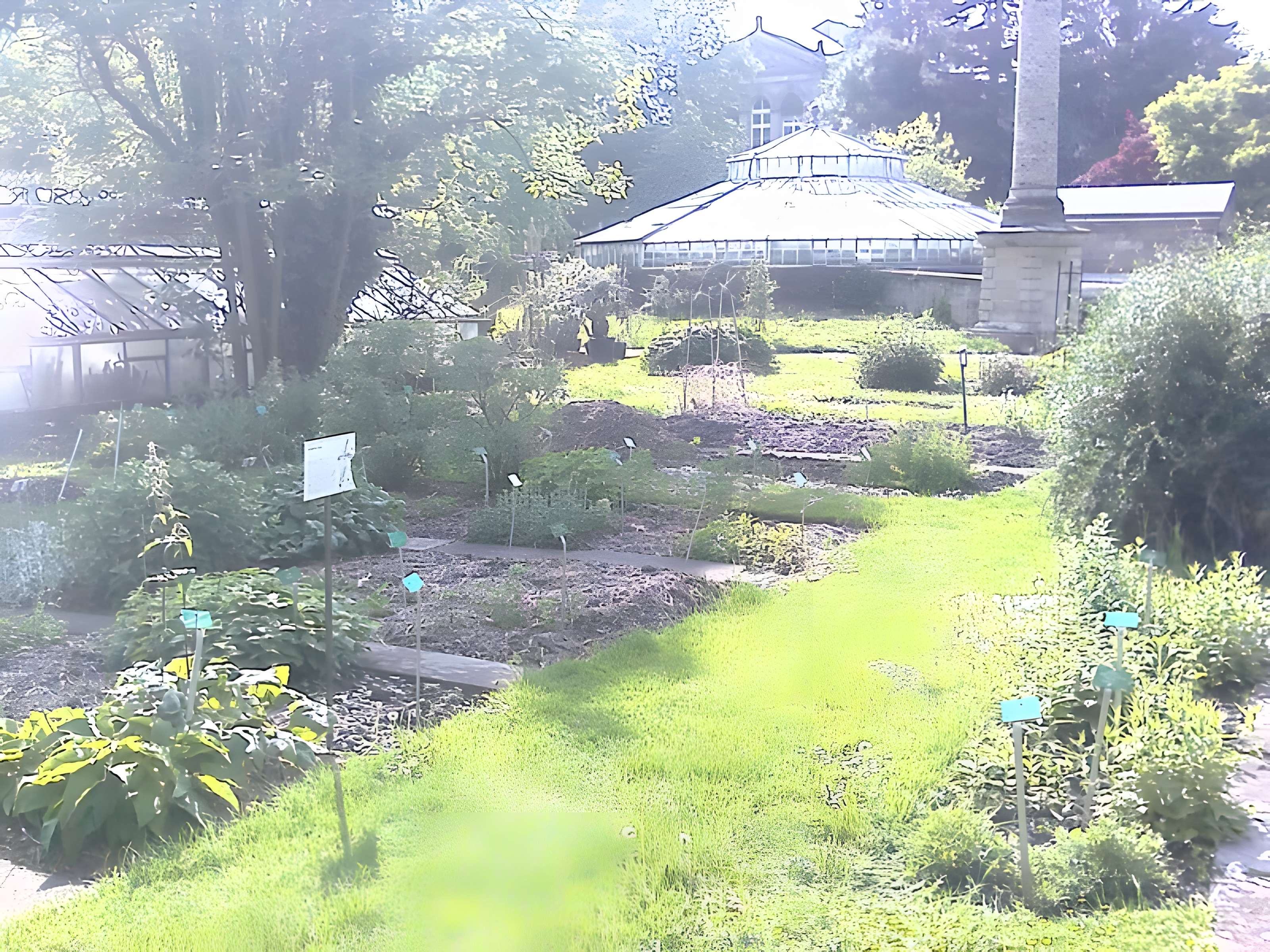 Jardin botanique de l'université de Strasbourg
