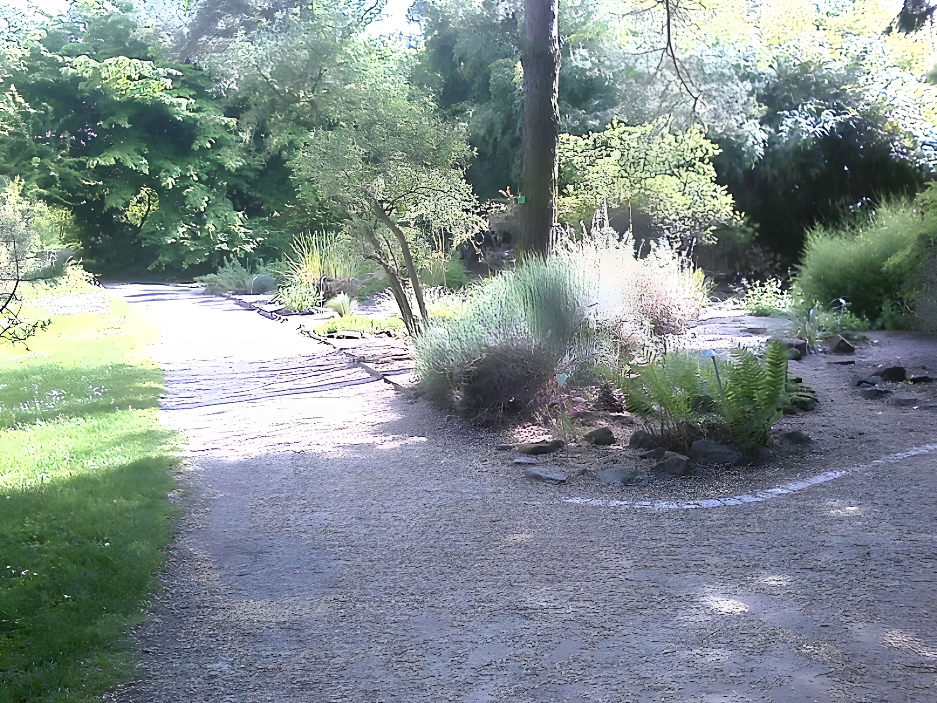 Jardin botanique de l'université de Strasbourg
