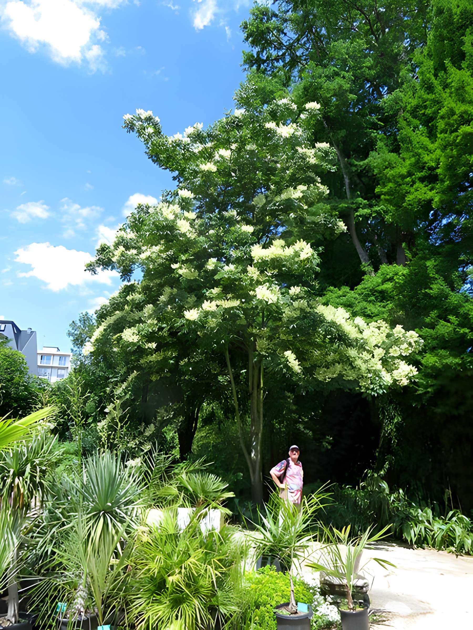 Jardin botanique de l'université de Strasbourg