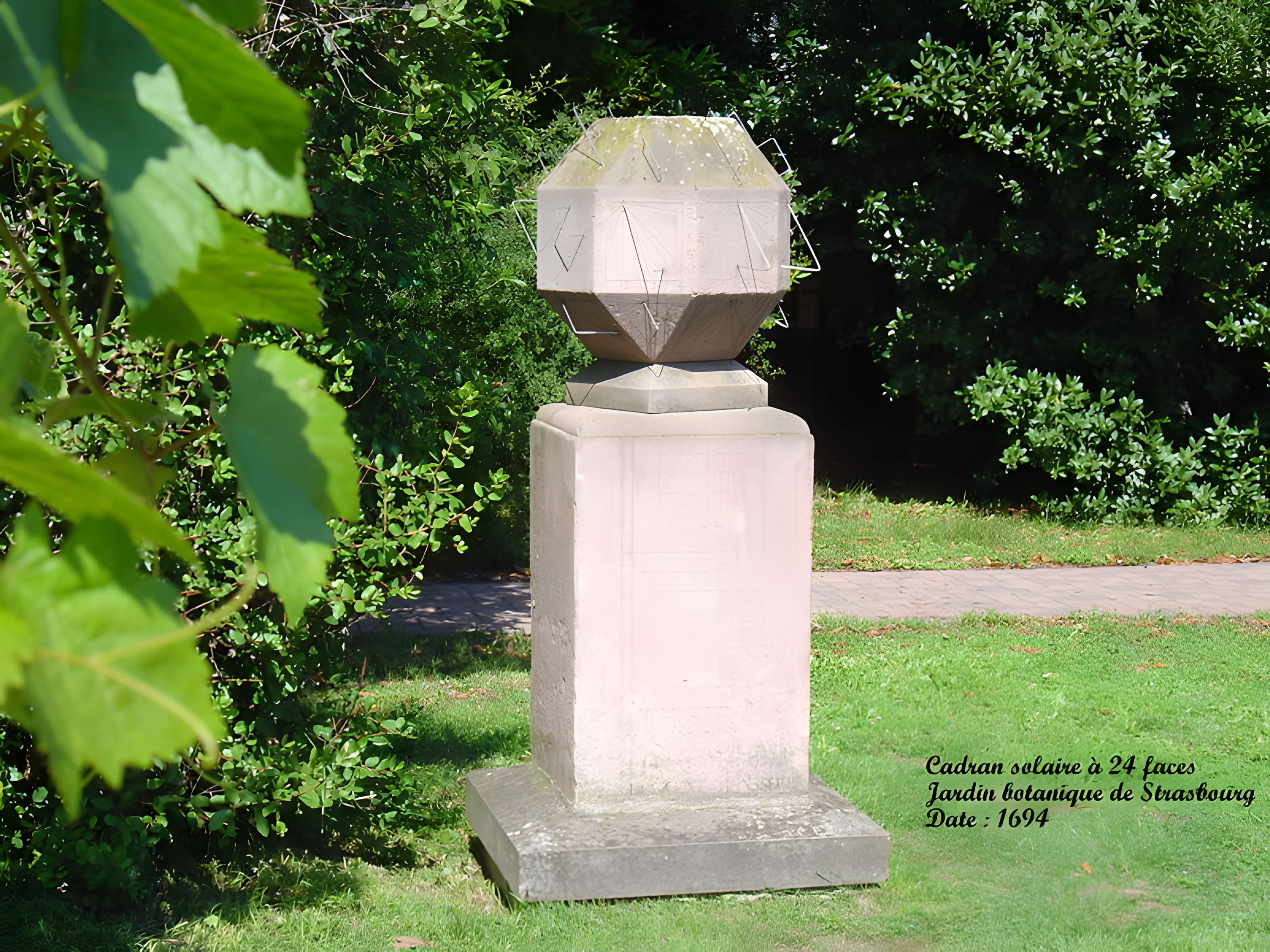 Jardin botanique de l'université de Strasbourg