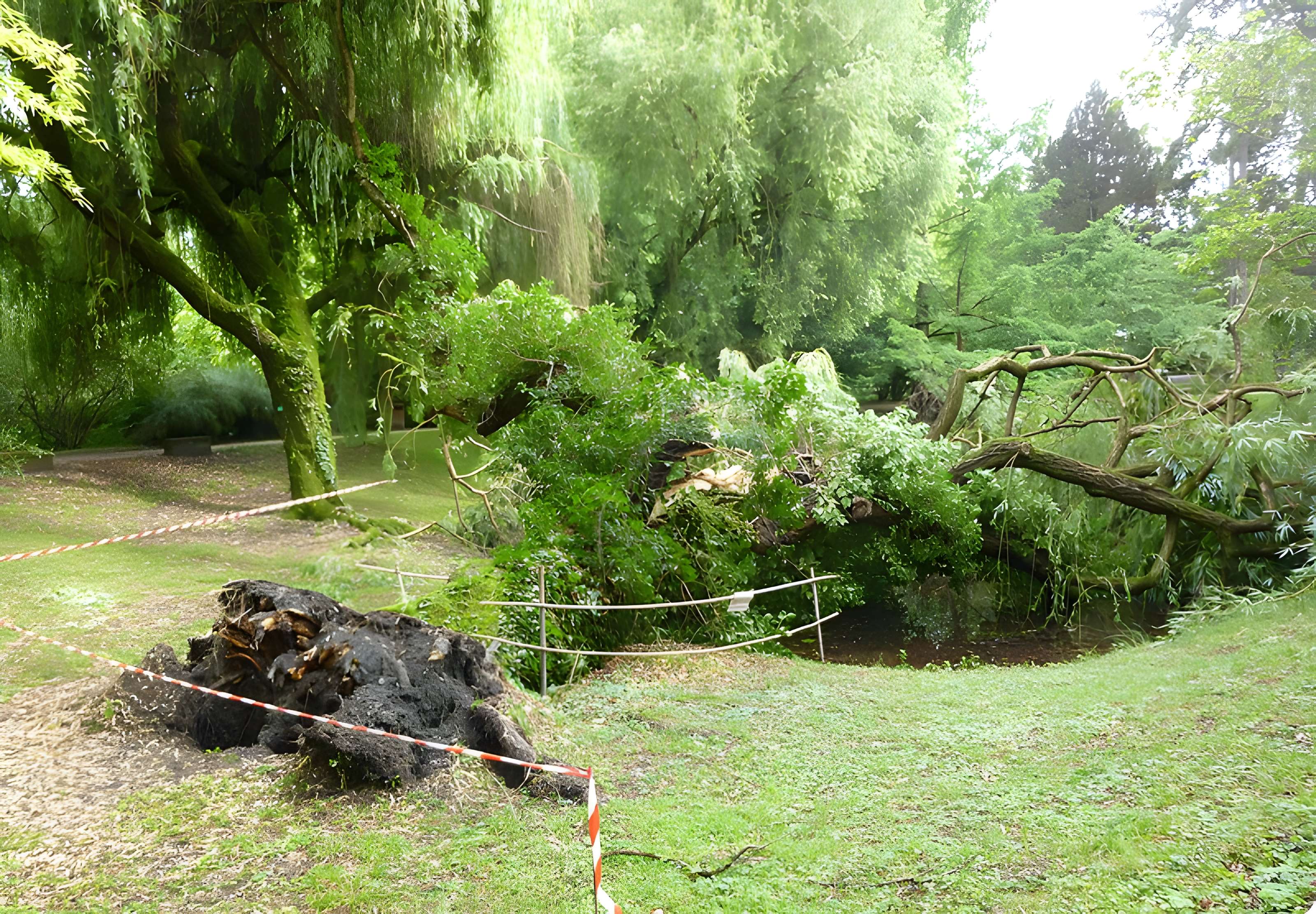 Jardin botanique de l'université de Strasbourg