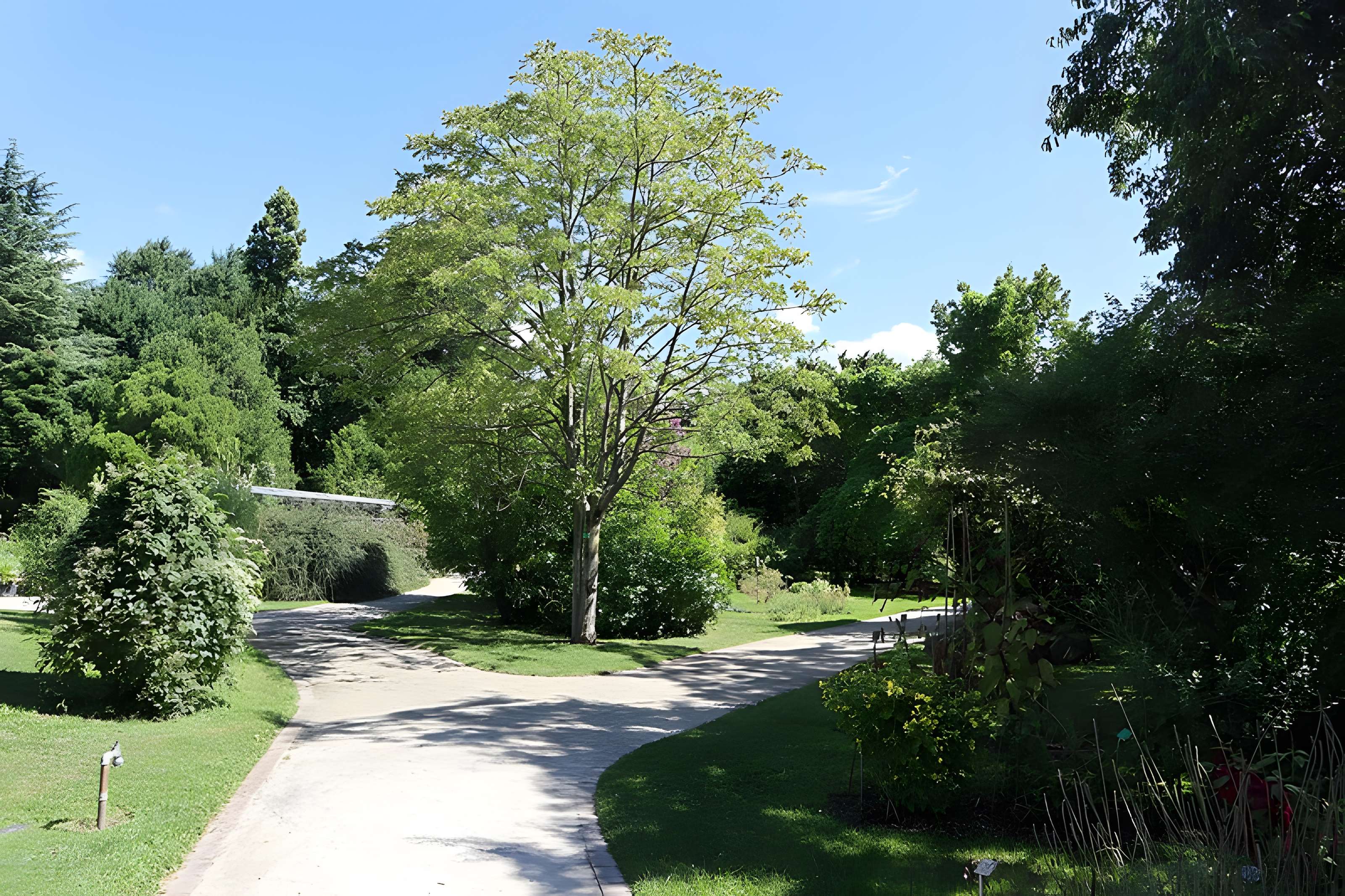 Jardin botanique de l'université de Strasbourg