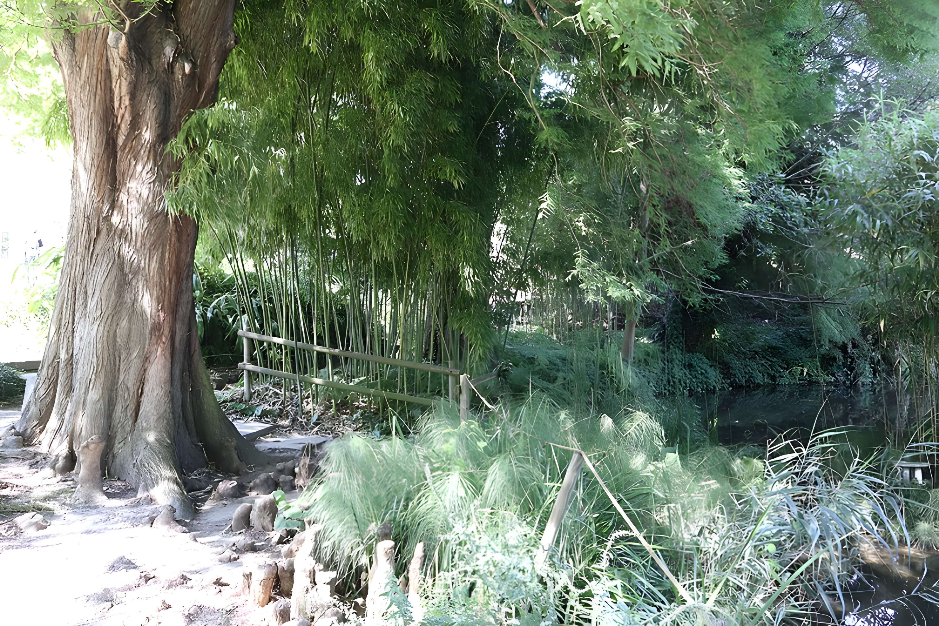 Jardin botanique de l'université de Strasbourg