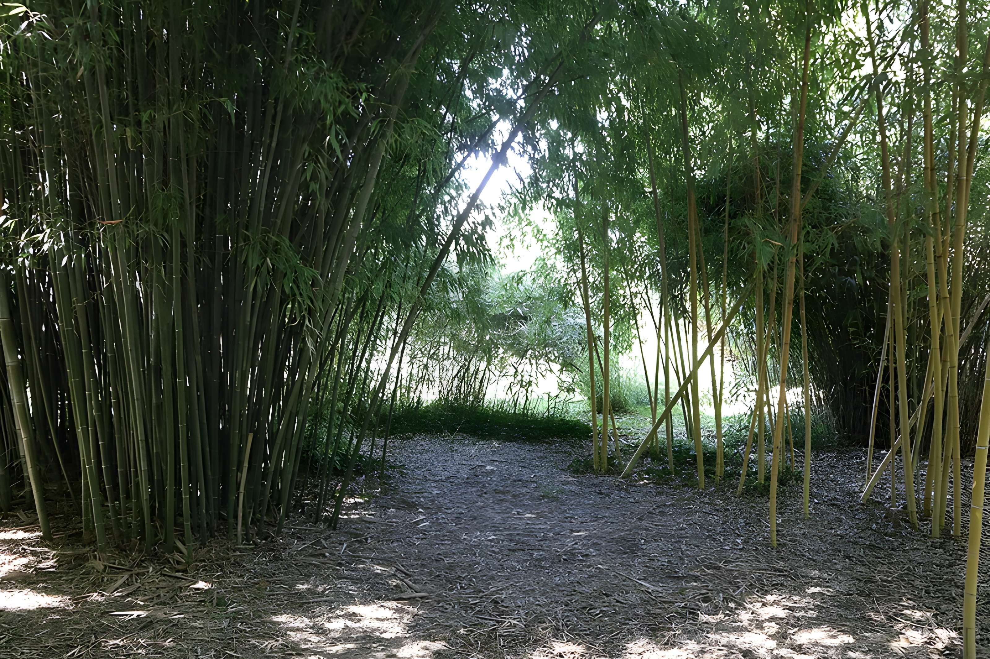 Jardin botanique de l'université de Strasbourg