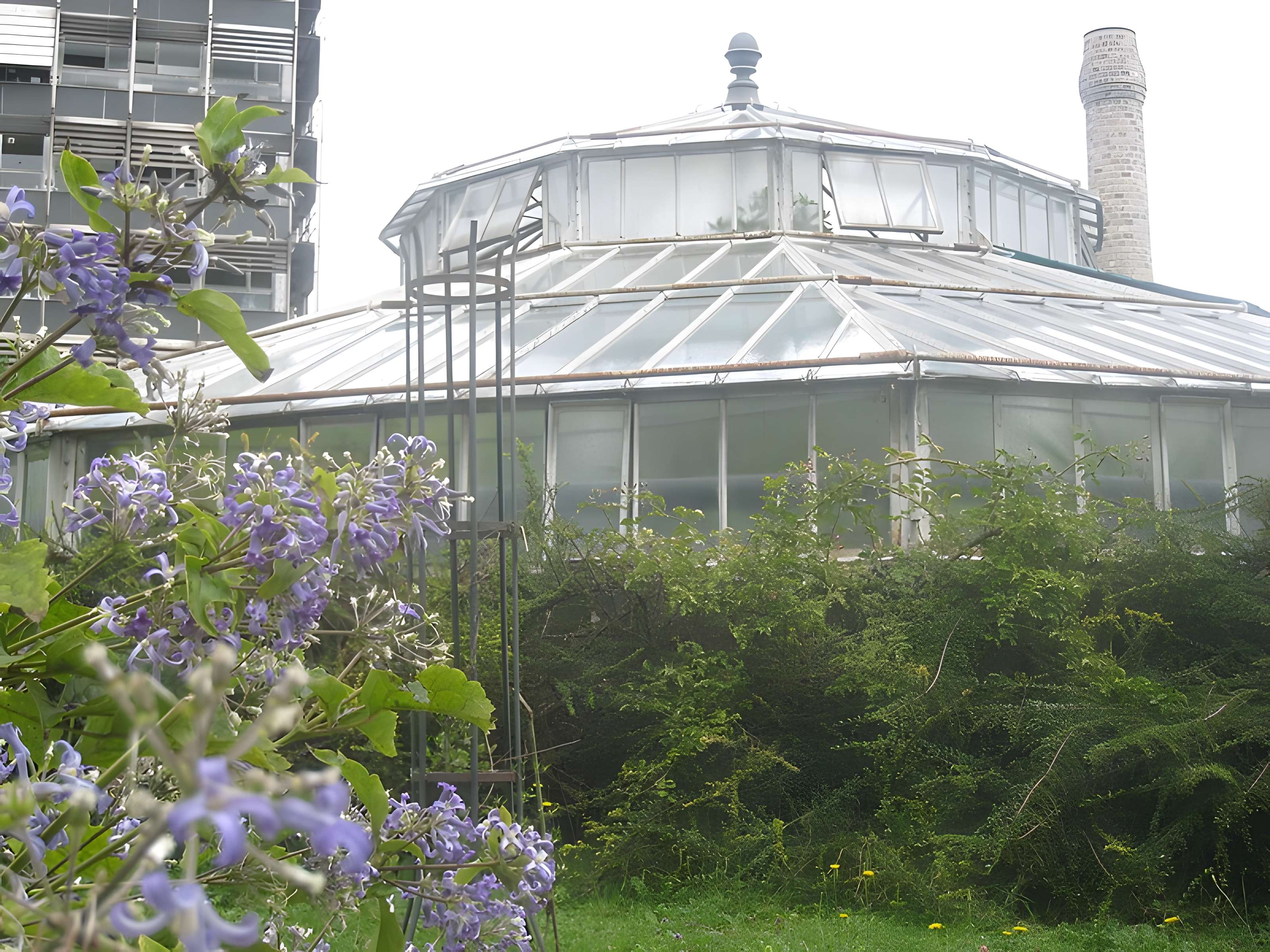 Jardin botanique de l'université de Strasbourg