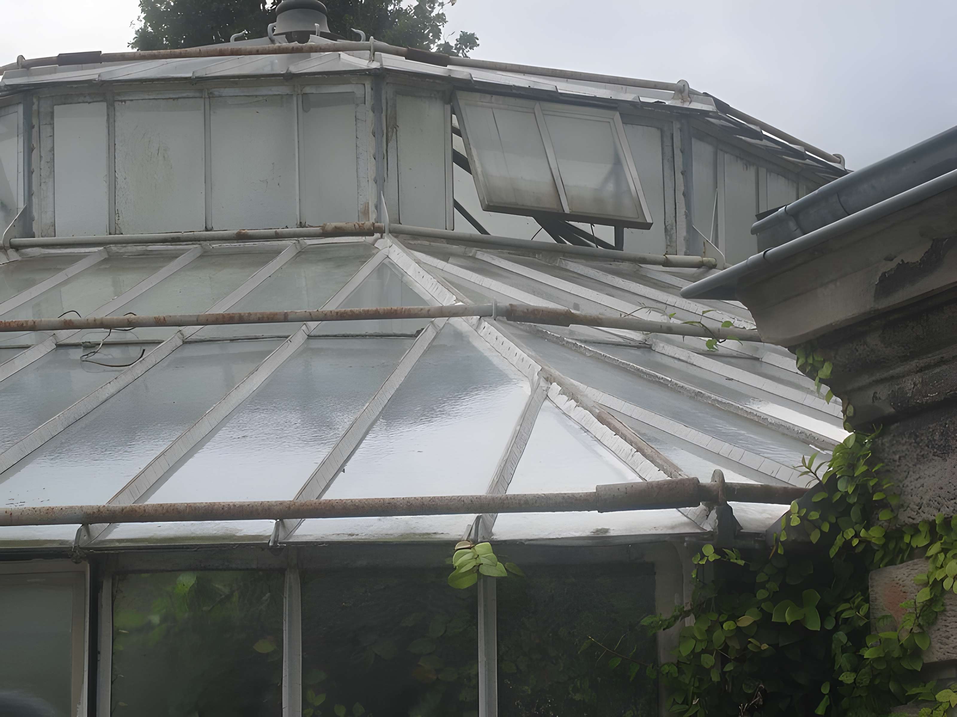 Jardin botanique de l'université de Strasbourg