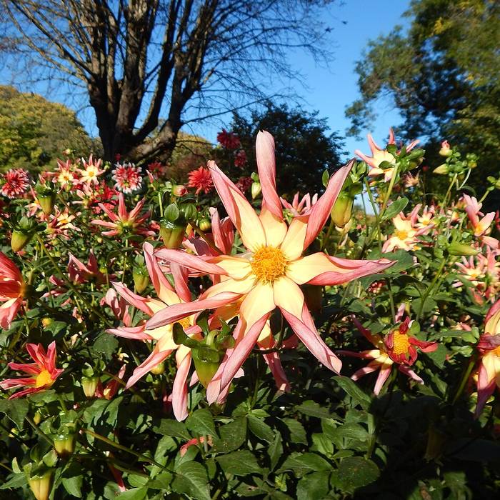 Photo de Parc zoologique et botanique de Mulhouse