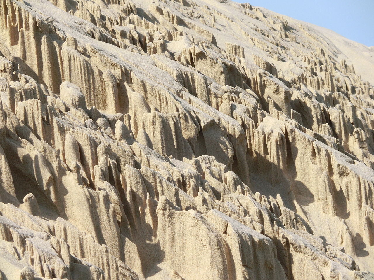 Dune du Pilat à La Teste-de-Buch