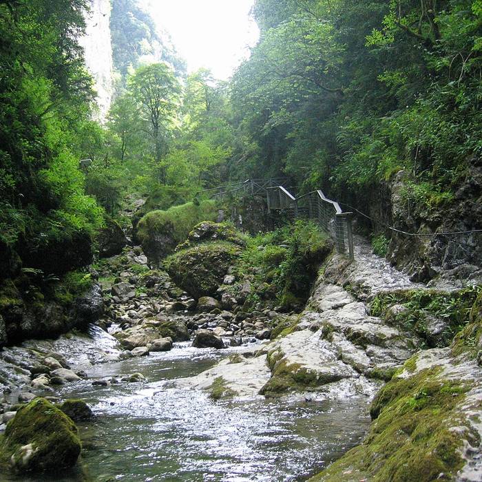 Photo de Visite de la Gorges de Kakuetta