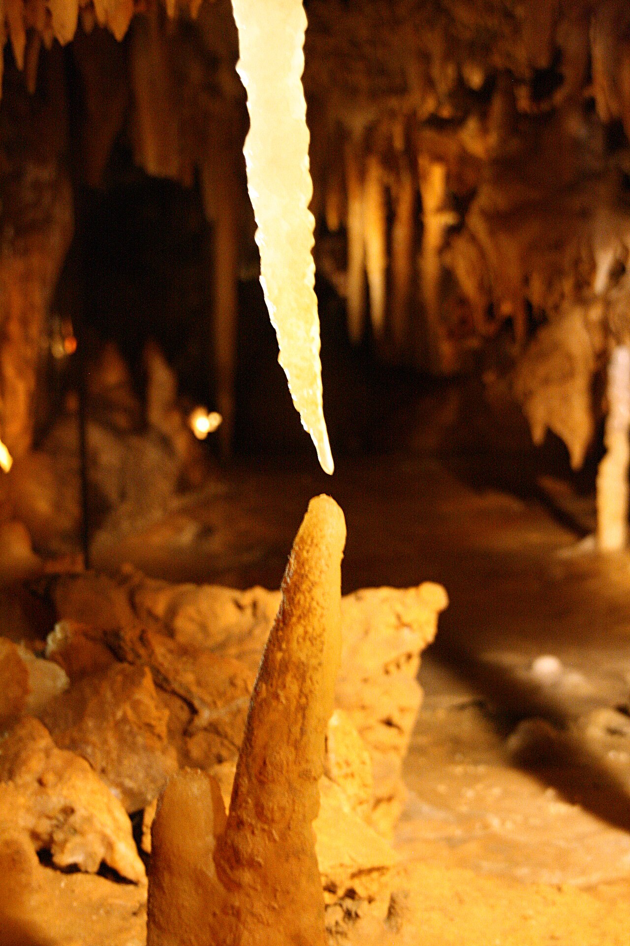 Grotte du Grand Roc - visite