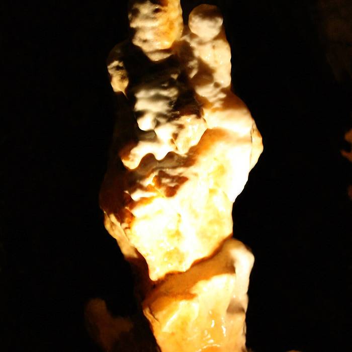 Photo de Grotte du Grand Roc - visite