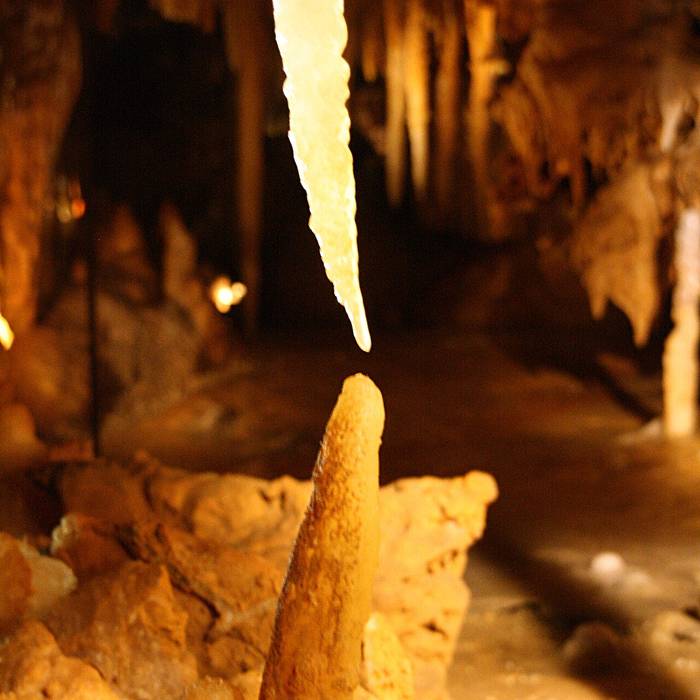 Photo de Grotte du Grand Roc - visite