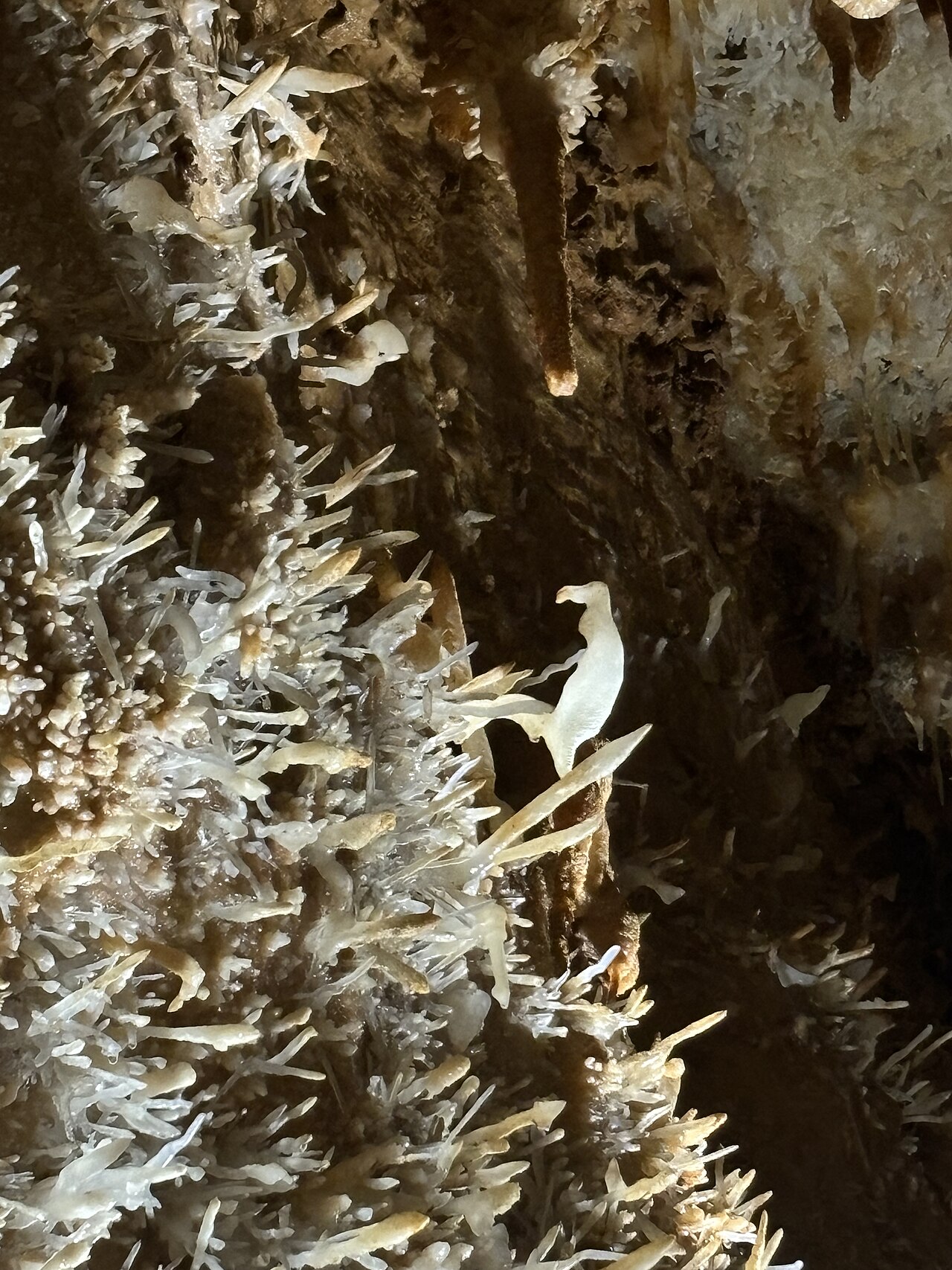 Grottes de Maxange - visite