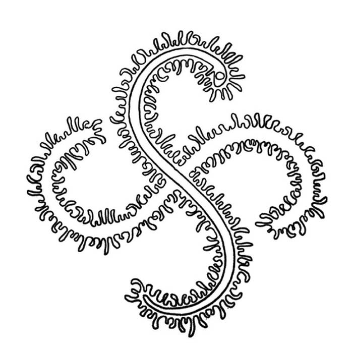 Photo de Visite des Grottes de Sare